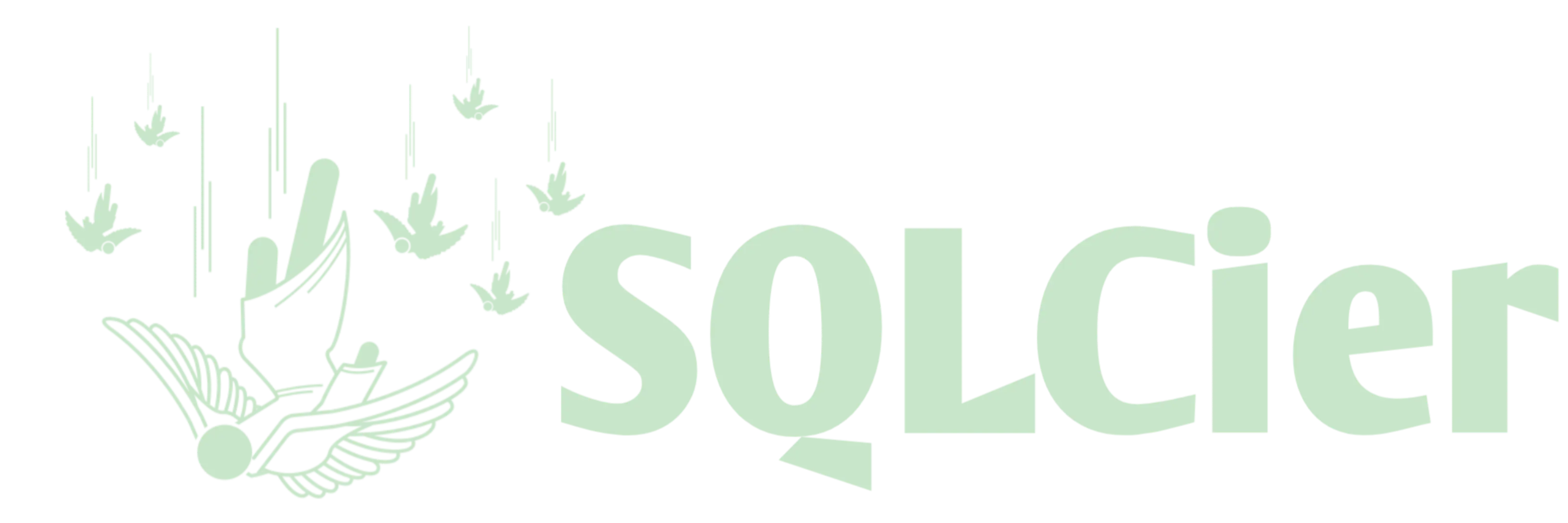 Tool Logo